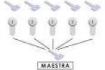 Amaestramiento